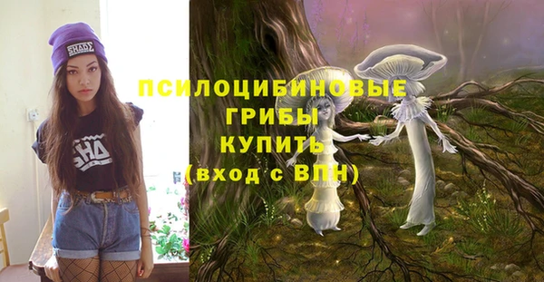 твердый Остров