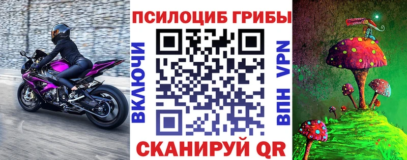shop телеграм купить наркотики сайты Ардатов Псилоцибиновые грибы Cubensis